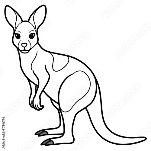 Detailed Kangaroo Line Art Illustration