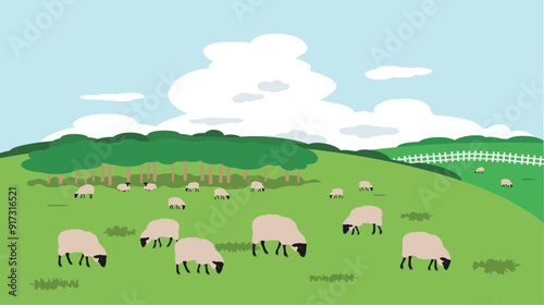 牧場を放牧しているサフォーク種の羊の風景画