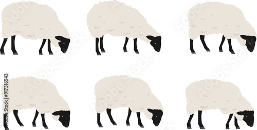 下を向いているサフォーク種の羊のイラストセット