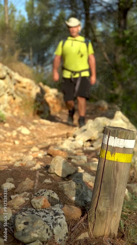 Slow motion, a hiker walking next to a wooden post with white and yellow markings, landmarks sign for hikers Slow motion, a hiker walking next to a wooden post with white and yellow markings, landmarks sign for hikers