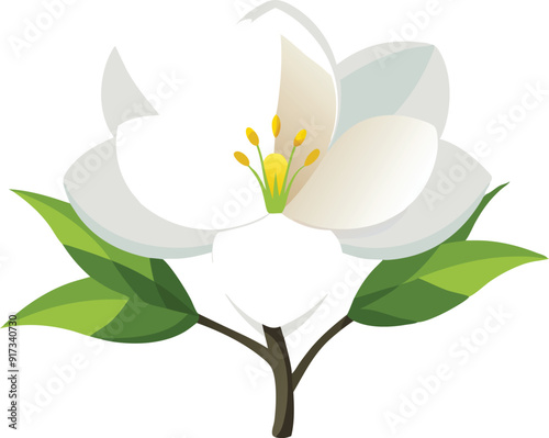 A delicate white magnolia flower blooms with vibrant green leaves.