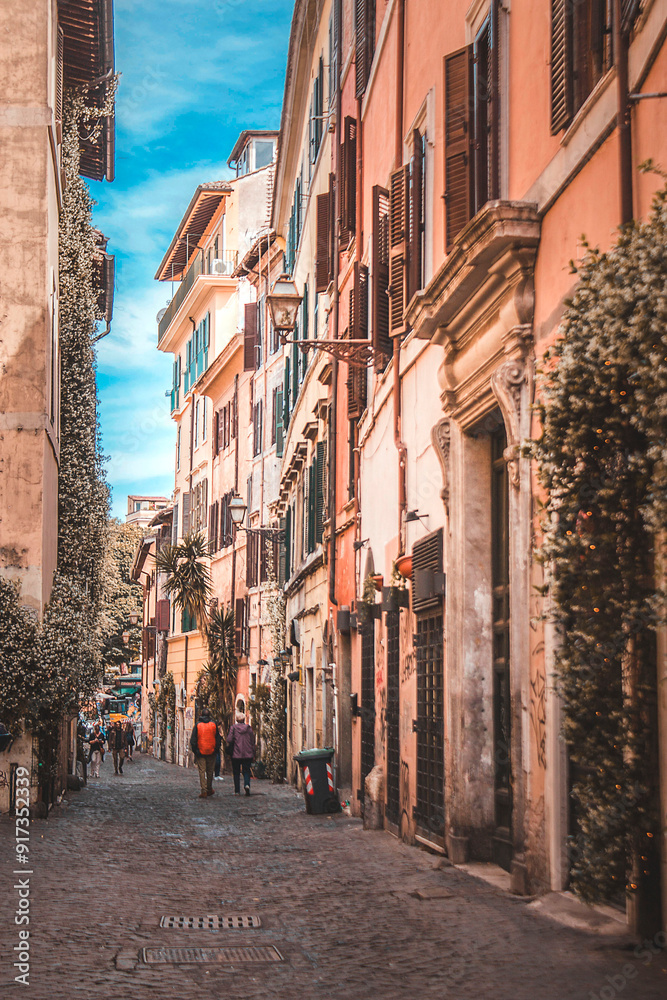 Fototapeta premium Street of Trastevere in Rome