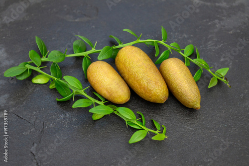 Ripe burgundy oblong citrus fruits with green sprigs on the black slate slab, close-up. Australian finger lime plant indoor growing. Microcitrus australasica, Faustrimedin photo