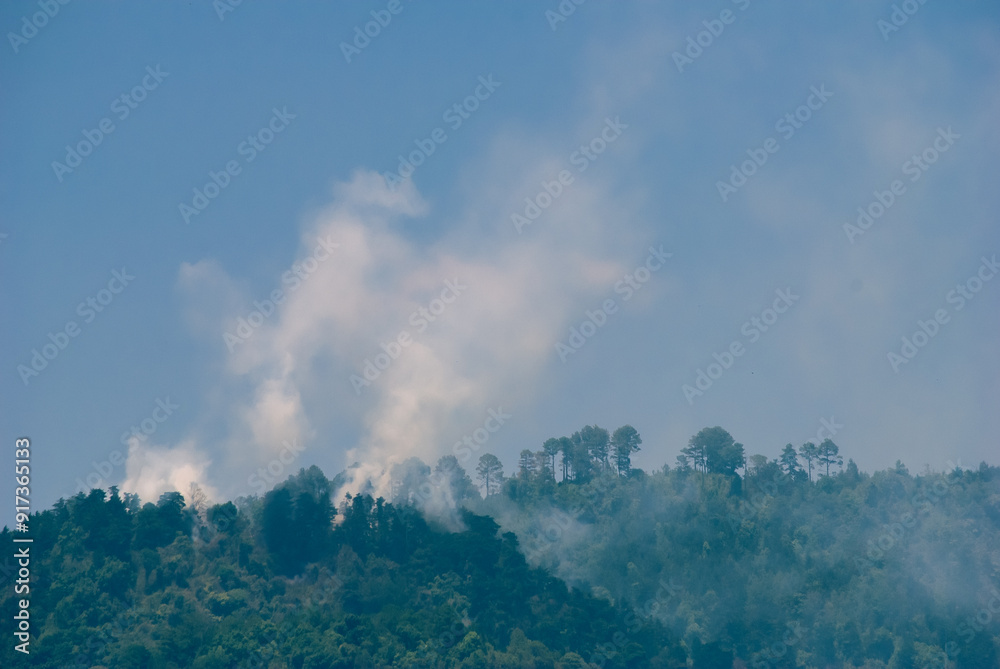 Fire in the forest area of Guatemala, promotion of climate change and deforestation, destruction of the environment. Fire in the forest area of Guatemala, promotion of climate change and deforestation, destruction of the environment.