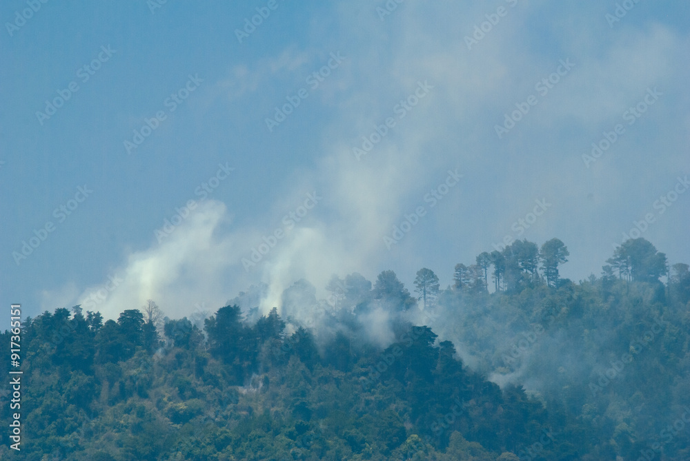 Fire in the forest area of Guatemala, promotion of climate change and deforestation, destruction of the environment. Fire in the forest area of Guatemala, promotion of climate change and deforestation, destruction of the environment.