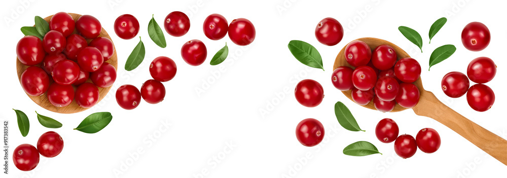 Cranberry in wooden bowl and spoon isolated on white background. Top view with copy space for your text. Flat lay Cranberry in wooden bowl and spoon isolated on white background. Top view with copy space for your text. Flat lay