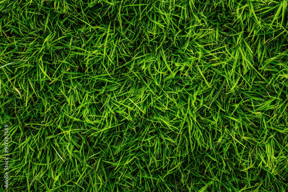 A vibrant, natural grass texture background evokes a sense of freshness and outdoor vitality A vibrant, natural grass texture background evokes a sense of freshness and outdoor vitality