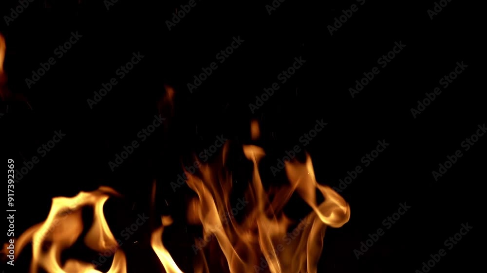 Fire flame texture. The fire, burning flame. Large burning flaming fire. Blaze flames overlay background. Stove firebox. Heat coal wood for fireplace. Fires flame. Burn fire lights on a black.