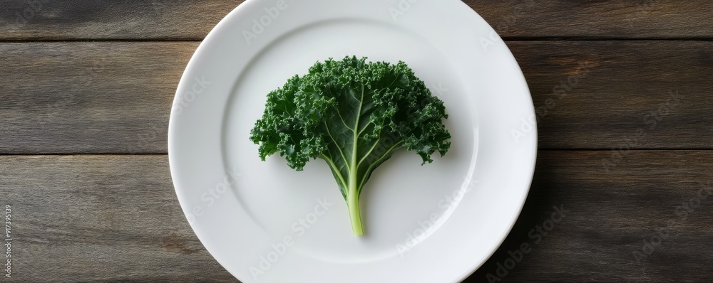 kale leaf on a white plate on kale leaf on a white plate on
