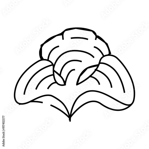 padina seaweed line icon vector. padina seaweed sign. isolated contour symbol black illustration