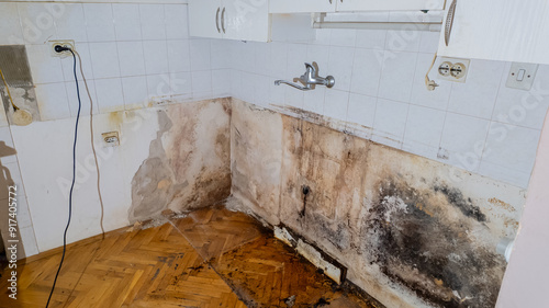 Fotografie Mold infestation in a neglected kitchen highlighting severe water damage and poo