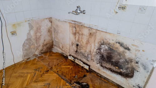Severe mold and water damage in a neglected kitchen corner, illustrating home maintenance issues and health risks