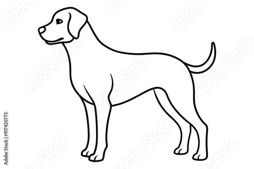 dog silhouette vector illustration