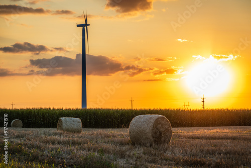 sunset in the field