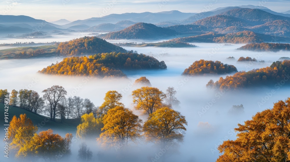 Naklejka premium Misty autumn landscape with colorful trees in mountain valleys