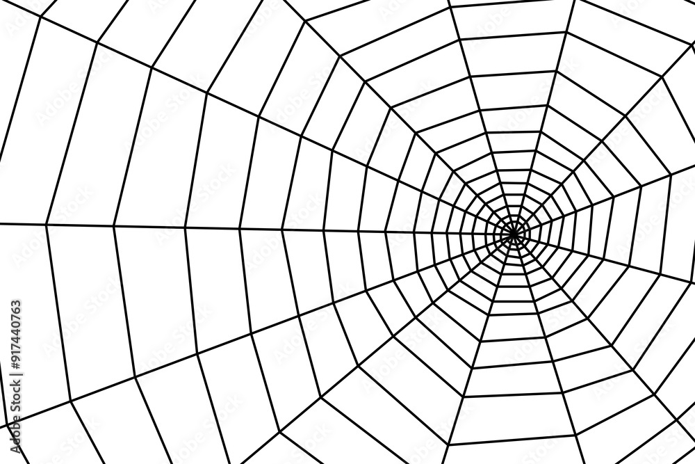 Cobweb on white background. Vector background with cobweb Cobweb on white background. Vector background with cobweb