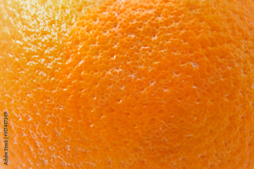 fruit orange skin texture zoom macro view