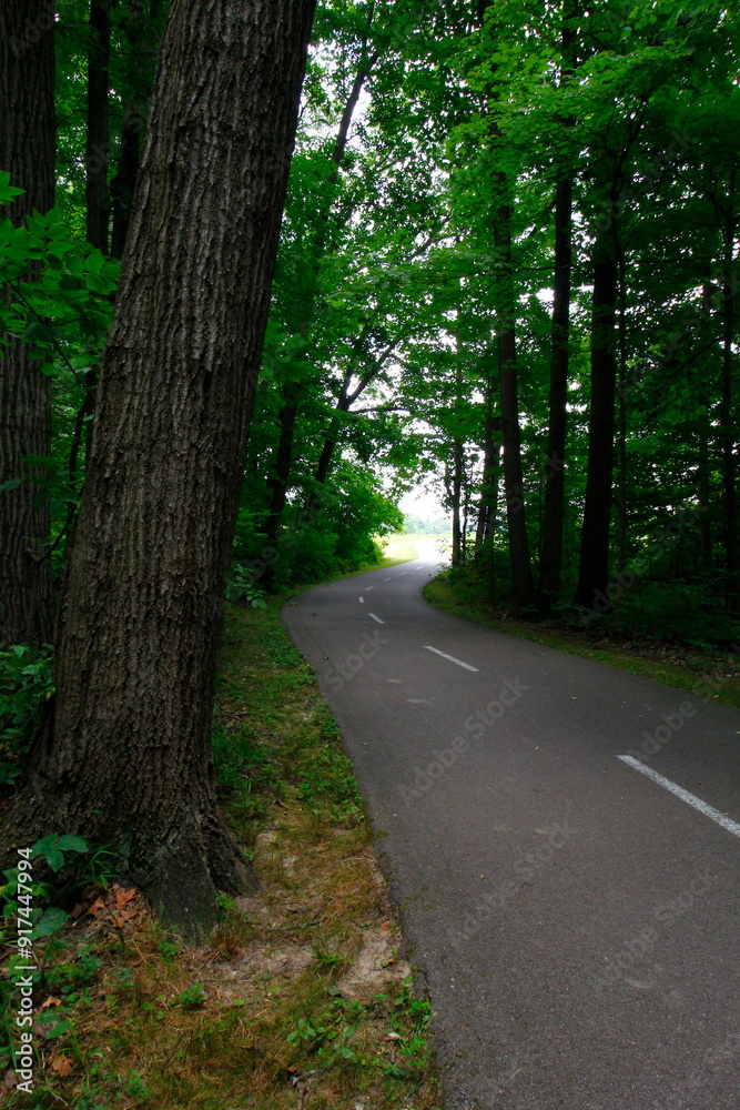 Fototapeta premium Trail, Glacier Ridge Metro Park, Dublin, Ohio