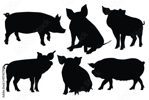 Simple hand drawing silhouettes of several pigs in various poses stand out or Pig breeds collection. Farm animals set. Black silhouette flat design. Vector illustration