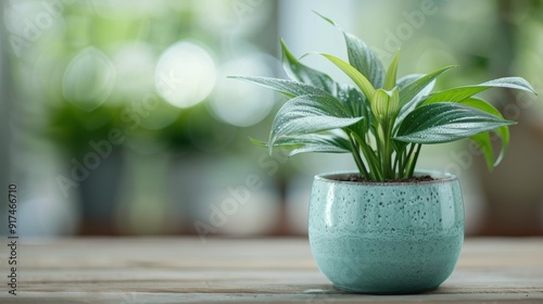 Indoor Potted Plant Displayed on Wooden Table in Bright, Lively Room