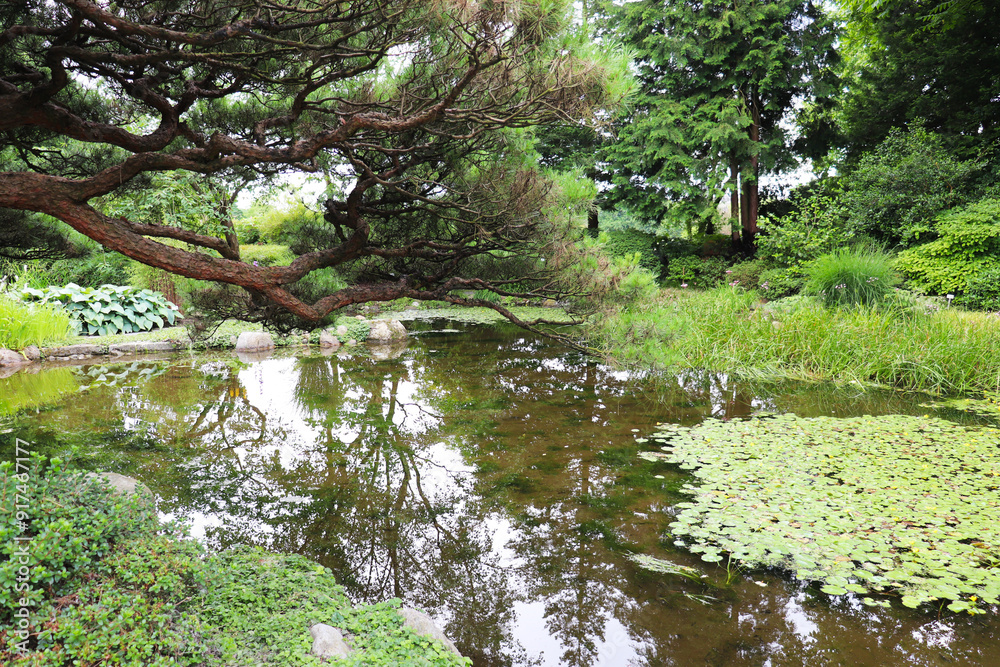 Obraz premium summer landscape. corner of the Japanese garden in the summer park