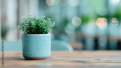 Indoor Potted Plant Displayed on Wooden Table in Bright, Lively Room