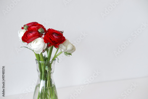 Minimalist Still Life Of Red And White Ranunculus Flowers In Glass Vase Standing On White Table photo