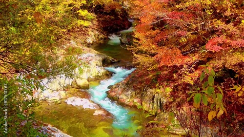 秋の中津川渓谷（福島県・裏磐梯）