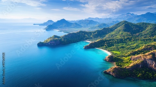 Aerial View of a Pristine Tropical Coastline