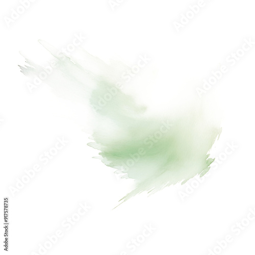 Moss color ink splash on transparent background