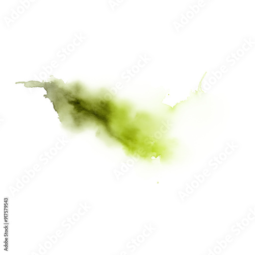 Sage ink splash on transparent background