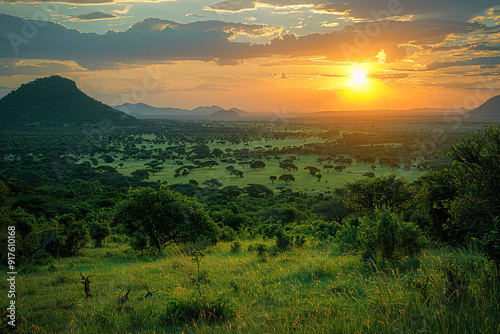 Lush African savanna teeming with vibrant life and endless greenery showcases abundant beauty and harmony of nature in this flourishing wilderness