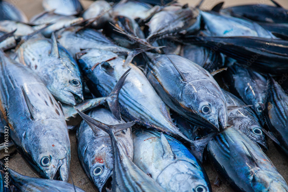 Obraz premium La Pesca del Día, Puerto Ángel, Oaxaca, México