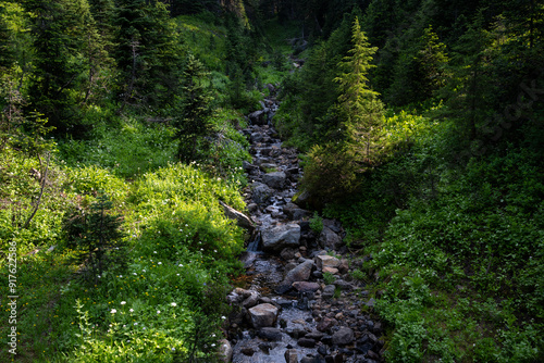 Dead horse creak flowing through a subalpine meadow and forest, peaceful recreation landscape on a sunny summer day, Mt Rainier National Park
 photo