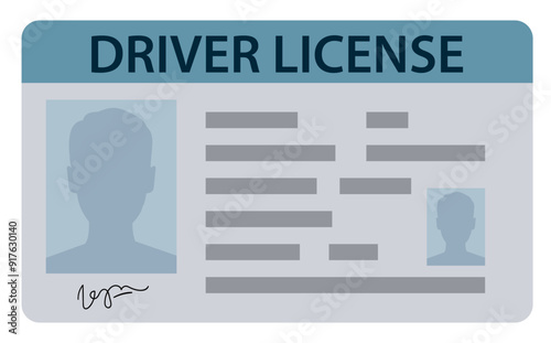 Driver's license. Driving licence vector illustration isolated on white background. Plastic card of driving licence