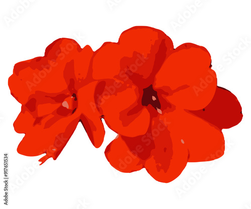 Red geranium flower isolated on white background