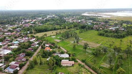 Green Paddy Field Ariel View in Thailand.,Aerial view of rice fields. Bird eye view of rice field.