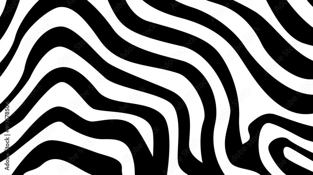 Black and White Color Striped Loopable Optical Illusion Animation. 4k resolution. zebra skin background Black and White Color Striped Loopable Optical Illusion Animation. 4k resolution. zebra skin background