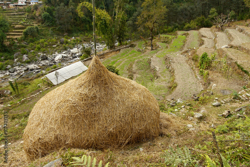 Terraced fields in a Himalayan valley in Nepal