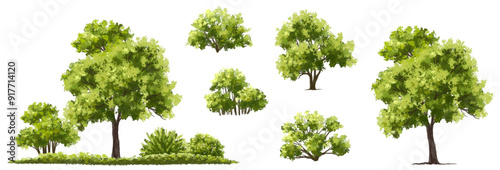  Vector watercolor green  tree or forest side view isolated on white background for landscape and architecture drawing,elements for environment or and garden,shrub for section