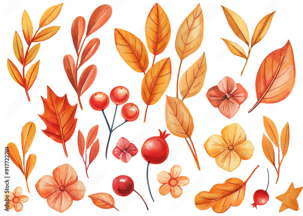Obraz premium Autumn leaves, red berries, flowers watercolor sticker fall, white background, cute leaf drawing illustration set