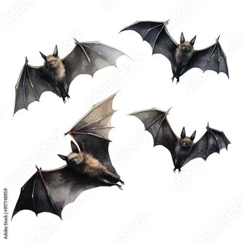 watercolor painting of bat four collection isolated 