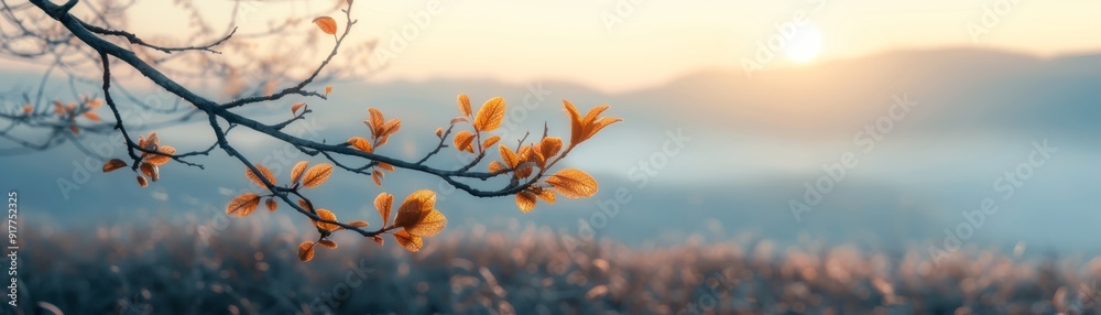 Branch with golden leaves at sunrise in autumn Branch with golden leaves at sunrise in autumn