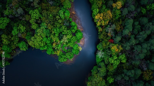  A bird's-eye perspective of a river encircled by dense forest, teeming with trees on either bank