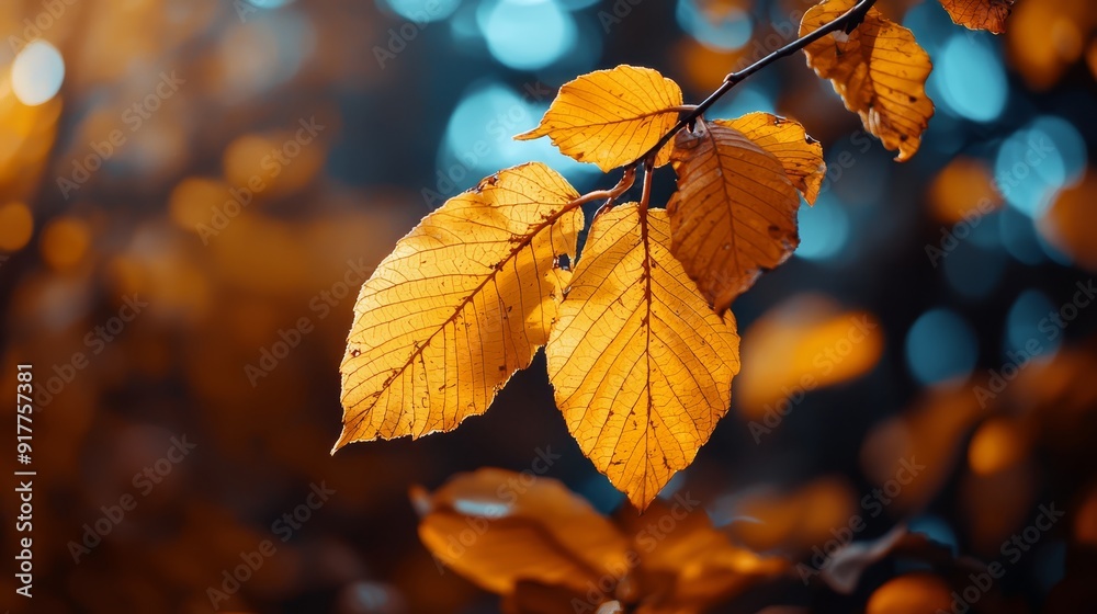 A branch with yellow leaves against a blurred backdrop of blue and yellow autumn foliage in the foreground A branch with yellow leaves against a blurred backdrop of blue and yellow autumn foliage in the foreground