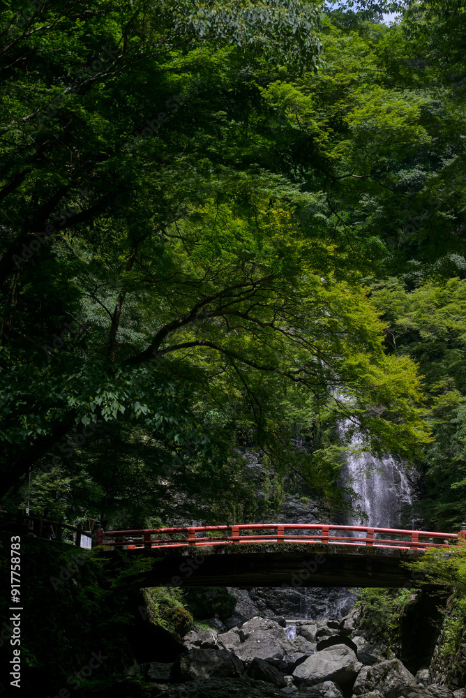 Waterfall of Mino in Osaka, Japan