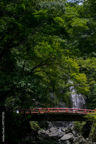 Obraz na płótnie Waterfall of Mino in Osaka, Japan w salonie