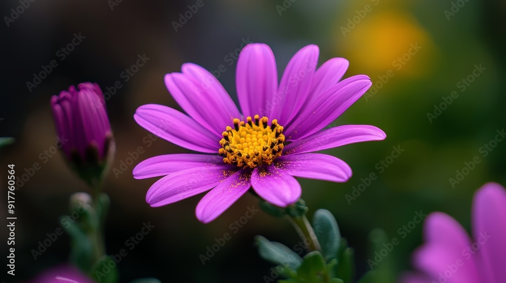 A close-up of a purple flower with a yellow center A close-up of a purple flower with a yellow center