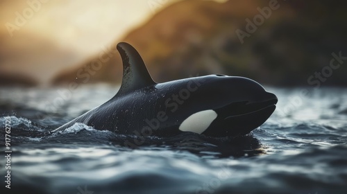  A black-and-white orca swims in crystalline waters before a rocky outcropping