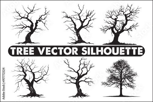 Tree without leaves, bare tree, leafless tree, winter tree, dormant tree, dead-looking tree, skeletal tree, branchy tree, twiggy tree, naked tree, exposed tree, stripped tree, barren tree, unadorned t